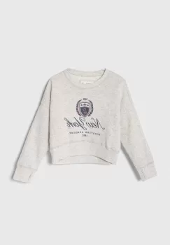 Abercrombie & Fitch bluza copii culoarea gri, cu imprimeu imagine