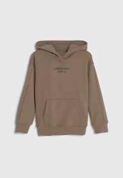Abercrombie & Fitch bluza copii culoarea maro, cu gluga, cu imprimeu imagine