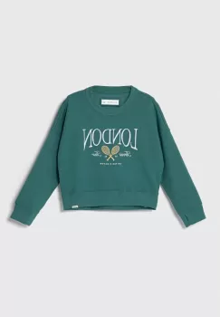 Abercrombie & Fitch bluza copii culoarea verde, cu imprimeu imagine