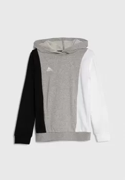 adidas bluza copii culoarea gri, cu gluga, modelator imagine