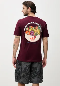adidas Originals tricou din bumbac Graphic Lo Ss T culoarea bordo, cu imprimeu, JW2976 imagine