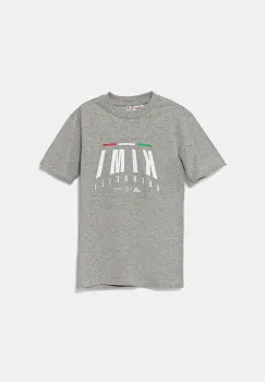 adidas Performance tricou de bumbac pentru copii MERCEDES culoarea gri, cu imprimeu, JZ8913 imagine