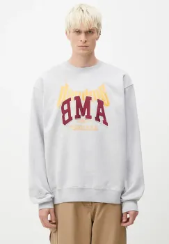 AMBUSH hanorac de bumbac Graphic barbati, culoarea gri, cu imprimeu, BMBA006F24FLE0020510 imagine