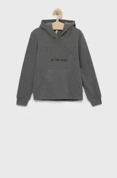Birba&Trybeyond bluza copii culoarea gri, cu gluga, cu imprimeu imagine