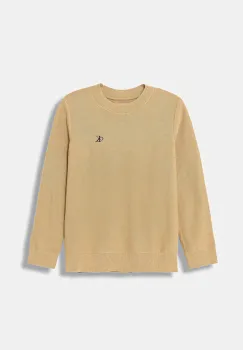 Calvin Klein Jeans pulover de bumbac pentru copii imagine