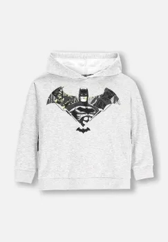 Coccodrillo bluza copii culoarea gri, cu gluga, cu imprimeu, LICENCE BOY WARNER BROS imagine
