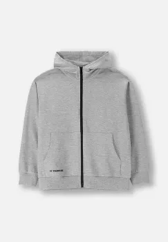 Coccodrillo hanorac de bumbac pentru copii culoarea gri, cu gluga, cu imprimeu, EVERYDAY BOY A imagine