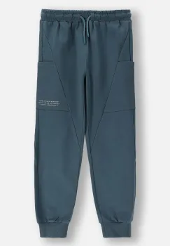 Coccodrillo pantaloni de trening culoarea gri, uni, YETI BOY JUNIOR imagine