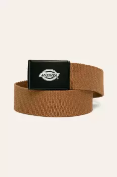 Dickies - Curea imagine