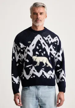 Lacoste  pulover pentru barbati cu lana imagine