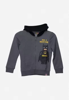 Lego hanorac de bumbac pentru copii culoarea gri, cu gluga, neted imagine