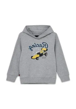 Lego hanorac de bumbac pentru copii LWSCOUT 708 culoarea gri, cu gluga, cu imprimeu, 12011355 imagine