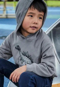 Mayoral hanorac de bumbac culoarea gri, cu gluga, 4407 imagine