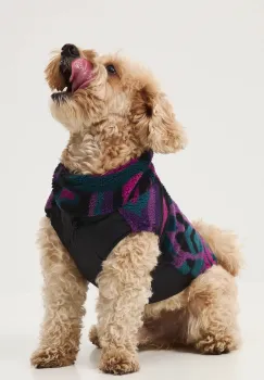 Accesorii pentru animale de companie imagine
