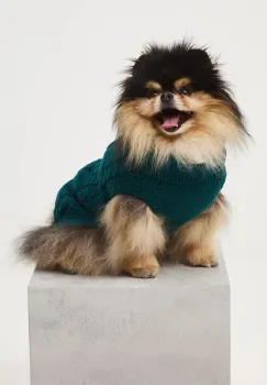 Medicine pulover pentru un animal de companie imagine