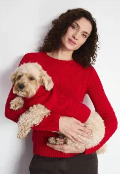 Medicine pulover pentru un animal de companie imagine