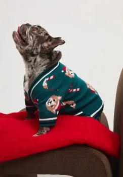 Medicine pulover pentru un animal de companie imagine