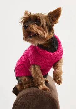 Medicine pulover pentru un animal de companie imagine