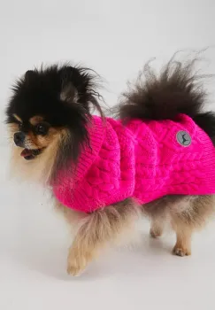 Medicine pulover pentru un animal de companie imagine