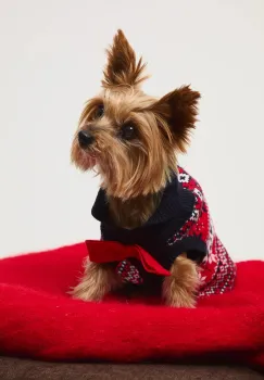 Medicine pulover pentru un animal de companie imagine