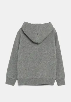 Napapijri bluza copii B-CHAMOIS H culoarea gri, cu gluga, cu imprimeu, NP0A4HY41601 imagine