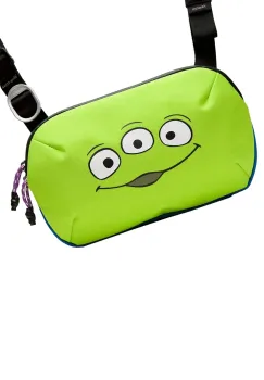 Depozitare si organizare imagine