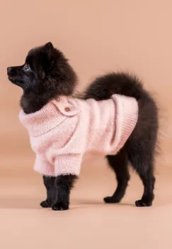 Accesorii pentru animale de companie imagine