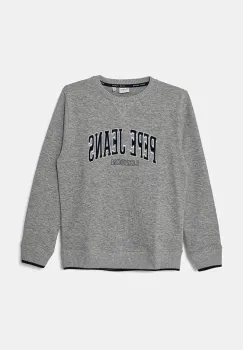 Pepe Jeans bluza copii BAIN CREW culoarea gri, cu imprimeu, PB581623 imagine