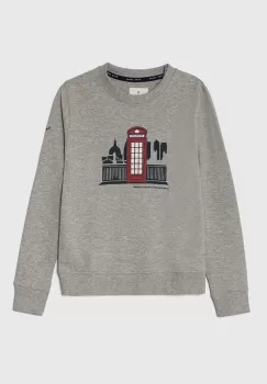 Pepe Jeans bluza copii culoarea gri, cu imprimeu imagine
