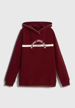 Pepe Jeans bluza cu doua fete copii culoarea bordo, cu gluga, cu imprimeu imagine