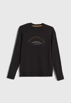 Pepe Jeans pulover de bumbac pentru copii culoarea gri, light imagine