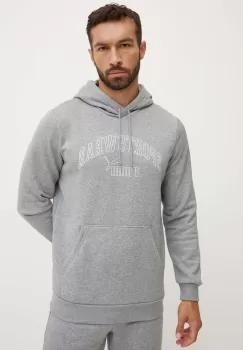 Puma bluza barbati, culoarea gri, cu gluga, cu imprimeu, 681775 imagine