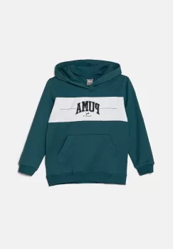 Puma bluza copii SQUAD Hoodie culoarea verde, cu gluga, cu imprimeu, 682775 imagine