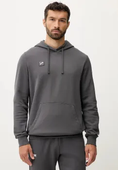 Puma hanorac de bumbac culoarea gri, cu gluga, cu imprimeu, 688254 imagine