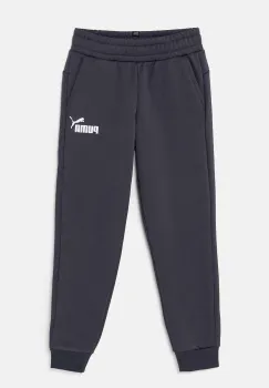 Puma pantaloni de trening pentru copii ESS Logo Pants FL cl B culoarea gri, cu imprimeu imagine