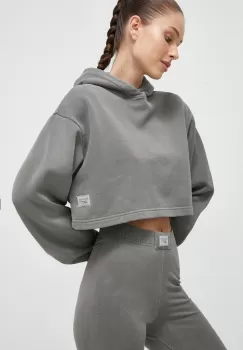 Reebok Classic bluza femei, culoarea gri, cu gluga, neted imagine