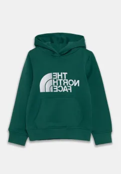 The North Face bluza copii DREW PEAK P/O HOODIE culoarea verde, cu gluga, cu imprimeu, NF0A89HHNL11 imagine