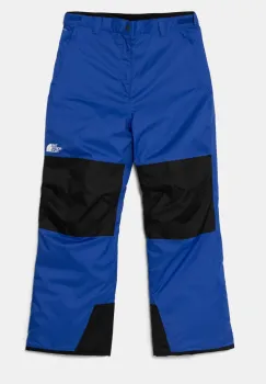 The North Face pantaloni de schi pentru copii FREEDOM INSULATED PANT NF0A88TYCZ61 imagine
