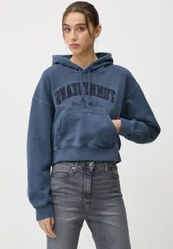 Tommy Jeans hanorac de bumbac femei, cu gluga, cu imprimeu, DW0DW19413 imagine