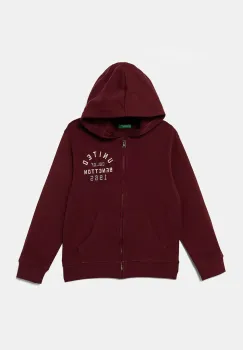 United Colors of Benetton hanorac de bumbac pentru copii culoarea bordo, cu gluga, cu imprimeu, 3J68C505C imagine
