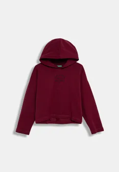 United Colors of Benetton hanorac de bumbac pentru copii culoarea bordo, cu gluga, cu imprimeu, 3NBMC2053 imagine