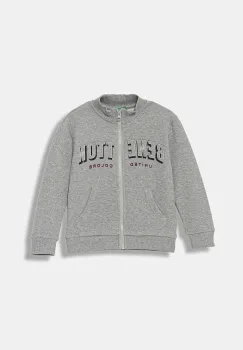 United Colors of Benetton hanorac de bumbac pentru copii culoarea gri, cu imprimeu, 3J70G503X imagine