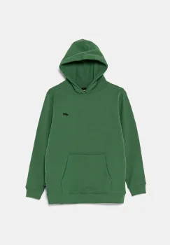 Vans hanorac de bumbac pentru copii SALTON LOOSE culoarea verde, cu gluga, neted, VN000P5TBR11 imagine