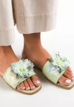 Papuci dama Orna Verzi imagine