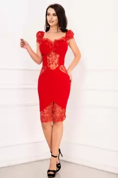 Rochie de seara Olivia rosie cambrata eleganta cu dantela si paiete imagine