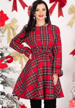 Rochie de zi in clos rosie cu carouri imagine