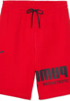 Pantaloni scurti barbati Puma Sport Graphic Shorts Tr 69223211 imagine