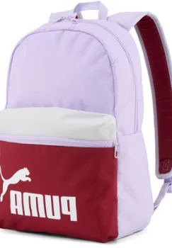Rucsac unisex Puma Phase Color Block Backpack 09117513 imagine