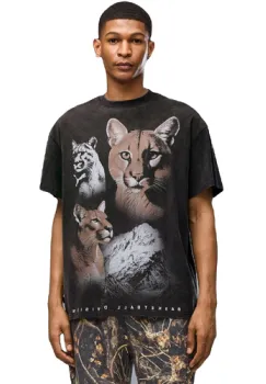 Tricou barbati Puma Dylan Wildcat Tee II 63721802 imagine