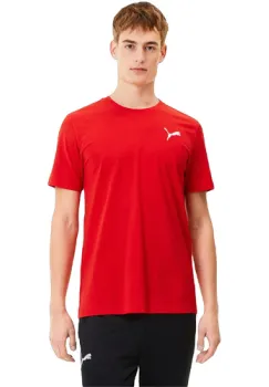 Tricou barbati Puma Teamgoal 23 Casuals 65657801 imagine